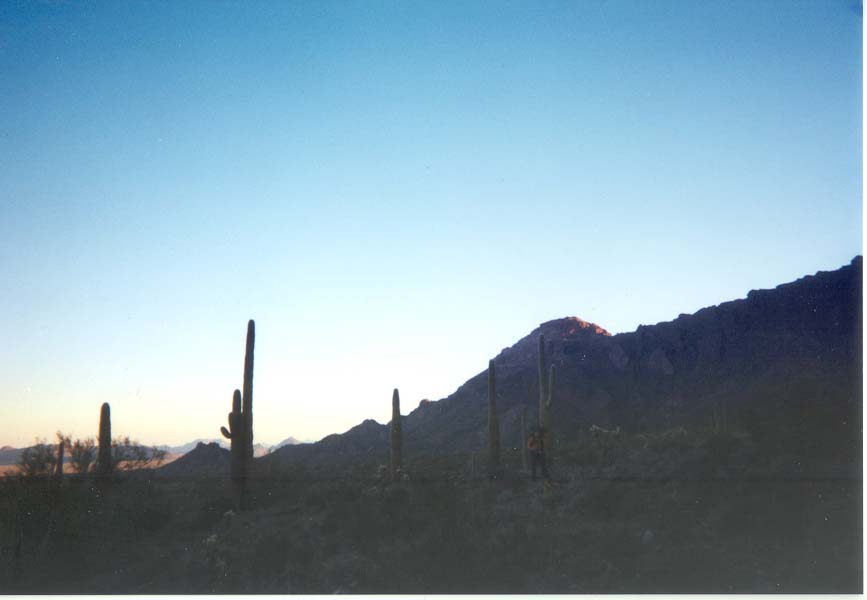 AZ011.jpg