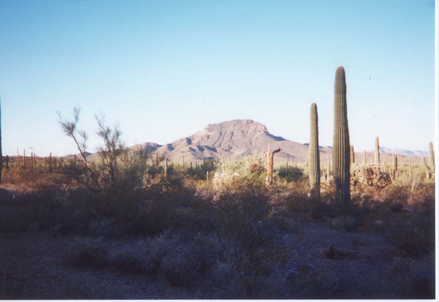 AZ016.jpg