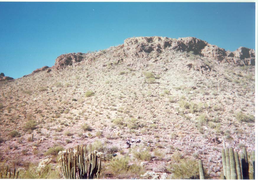 AZ018.jpg
