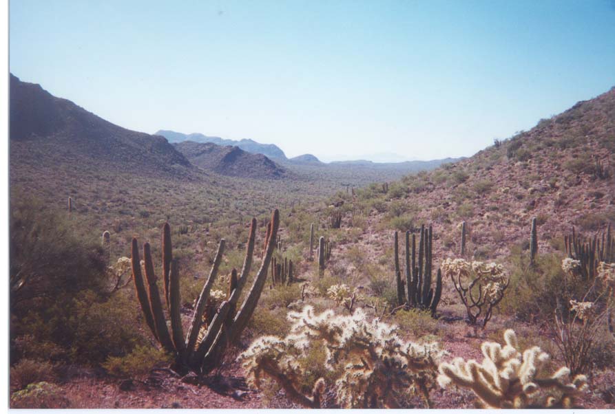 AZ019.jpg
