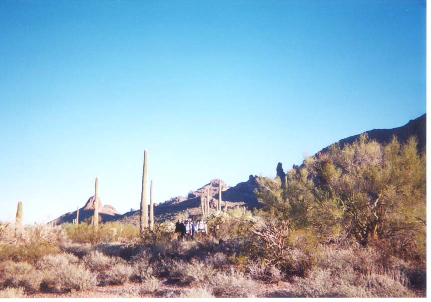 AZ022.jpg