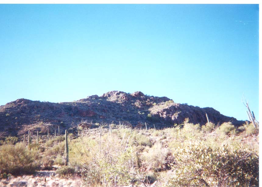 AZ024.jpg